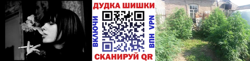 Купить закладки  Невьянск  Канабис план 